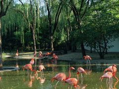 -石家庄市动物园