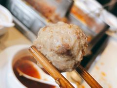 玫瑰肉丸-海底捞火锅(劲松店)