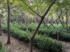 -九龙潭景区