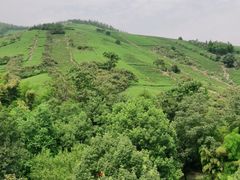 -天目湖御水温泉·度假酒店