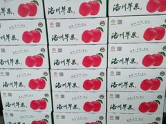 -西北农副产品中心批发市场(广安路店)
