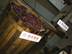 -青岛葡萄酒博物馆