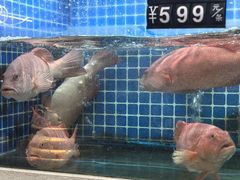 -金龙·打边炉(南京西路店)