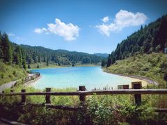 -武陵山森林公园