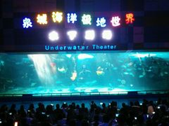 -泉城欧乐堡海洋极地世界