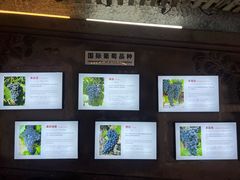 -青岛葡萄酒博物馆