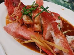 -四姑娘川味海鲜(八爪鱼店)
