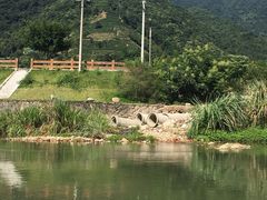 -九鲤溪瀑景区