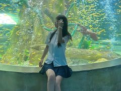 -合肥海洋世界