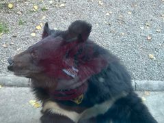 -北京野生动物园