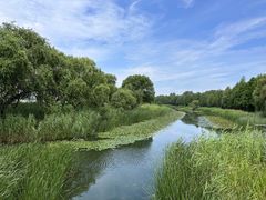 -苏州太湖湖滨国家湿地公园