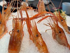-HOMES上海本帮菜(襄阳公园店)