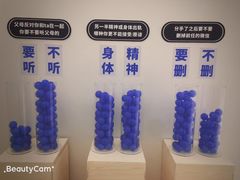 -首开·龙湖成都西宸天街