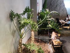 -J Create城市露营咖啡·简餐·宠物(上海动物园店)