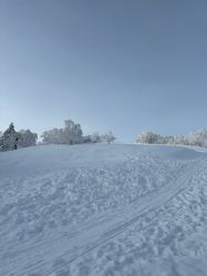 -大秃顶子山
