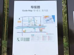 -黄海国家森林公园