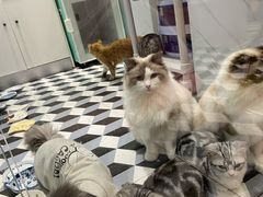 -兰岛广场(白沙路店)