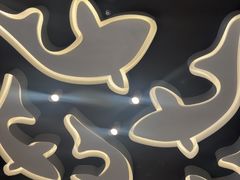 -阿五黄河大鲤鱼(海尚店)