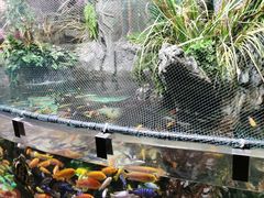 -太平洋海底世界