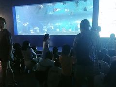 -重庆欢乐海底世界