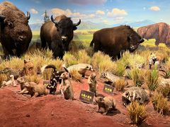 -陕西自然博物馆