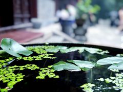 -韬光茶庵