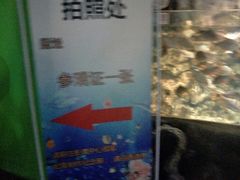 -左海海底世界