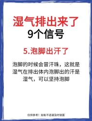 -Fundi张玉珊修身堂·indiba·BTL科技瘦身