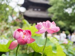 -钱王祠
