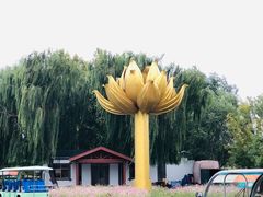 -白洋淀景区