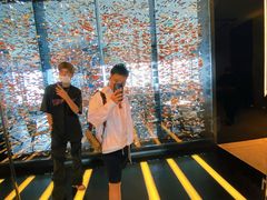-长沙尼依格罗酒店