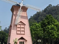-顺峰山公园