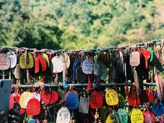 -西双版纳原始森林公园