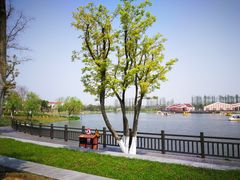 -上海长兴岛郊野公园