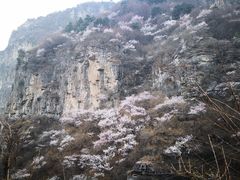 -太行锡崖沟旅游度假区