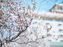 -山东师范大学(千佛山校区)