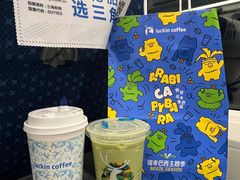 -瑞幸咖啡(深圳北高铁站内部店-B12检票口二楼)