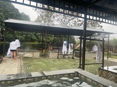 -三江森林温泉度假区