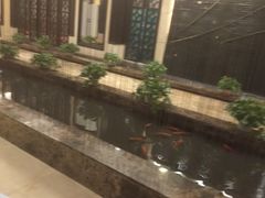 -申宴酒楼(王子百货店)