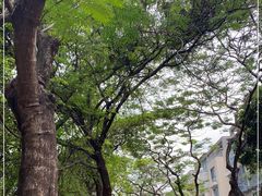 -华侨城湿地公园