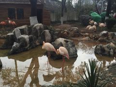 -昆明动物园