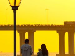 -宝安西湾红树林湿地公园