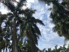 -厦门悦华酒店