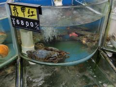 水产区-烁佳海鲜大馅饺子