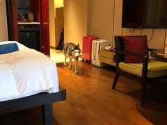 -上海崇明金茂凯悦酒店