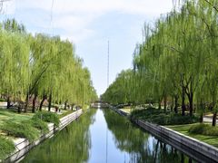 -元大都城垣遗址公园