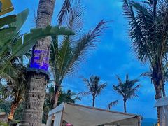 -精酿农场Brew Farm·沙漠绿洲餐厅