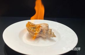 Cheese Flame Sea Snail