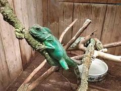 -上海大自然野生昆虫馆