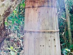 -乌岩头民俗博物馆